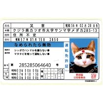 Amazon.co.jp: なめ猫 免許証04 みけ子 キャラクターステッカー 懐かし